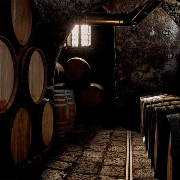 Dégustation de 3 vins Etna DOC